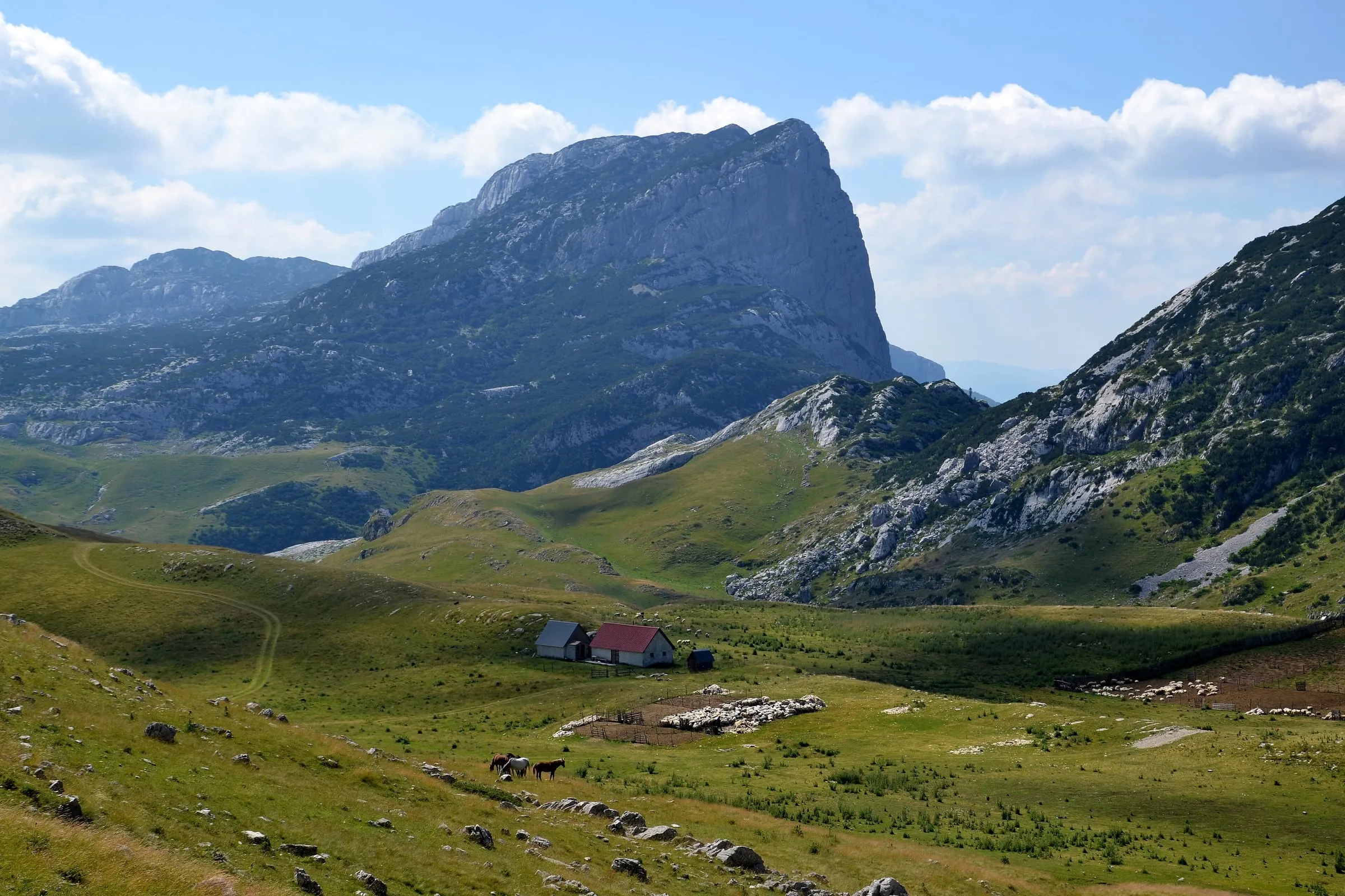 Durmitor peaks above a katun pasture