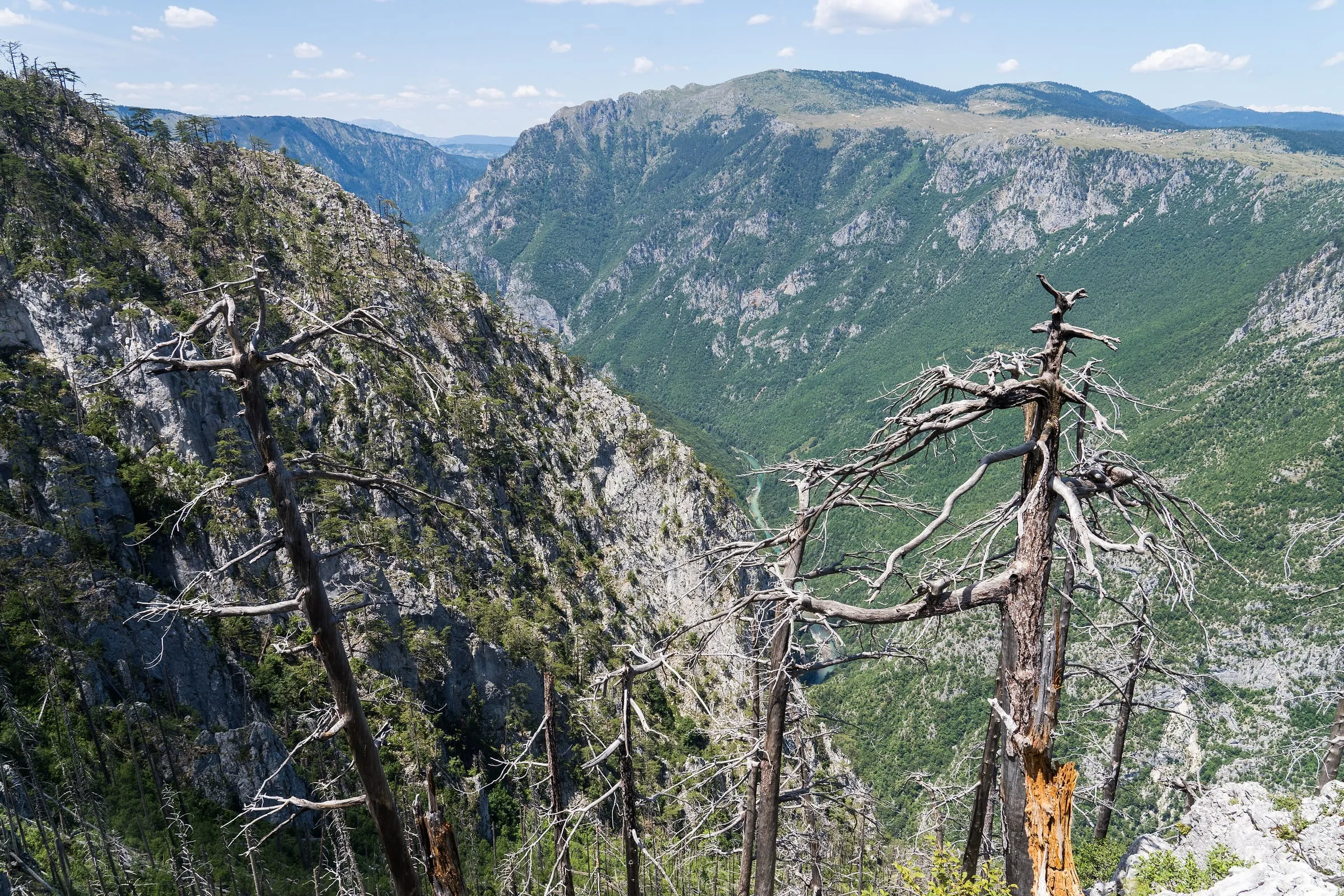 Tara River canyon from the rim